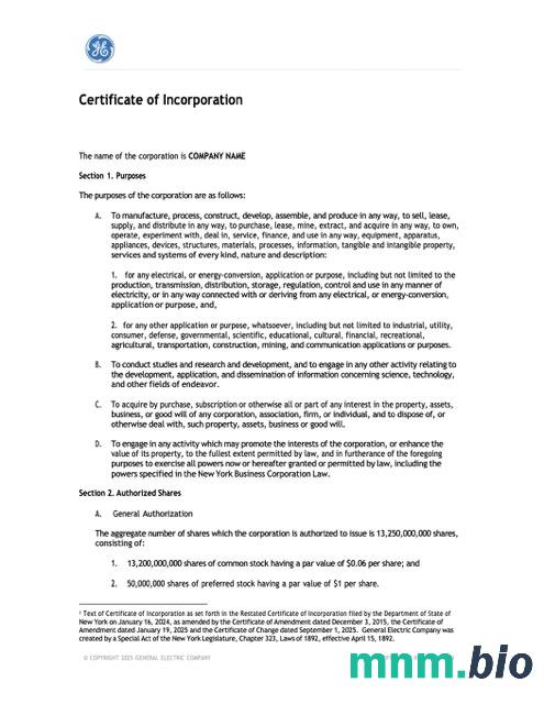 USA New York vcertyfikat of inkorporacja Word i szablon PDF